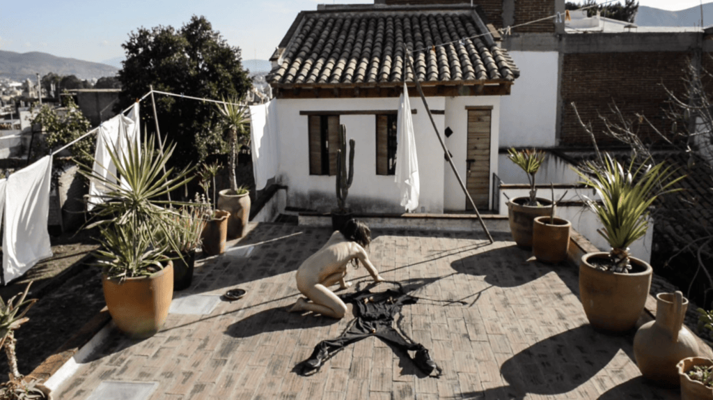 Registro fotográfico del proceso De la serie ¨Transmutar¨. 2023 Oaxaca, México