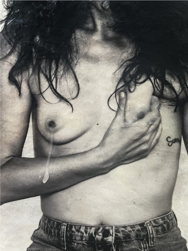 detalletorso2