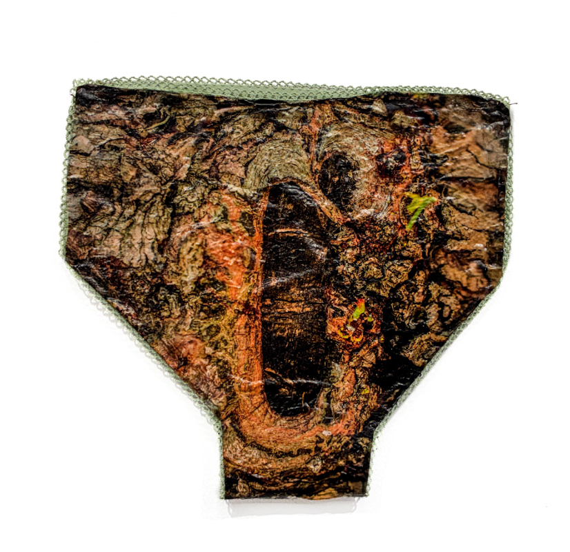 From the series Eternal sap
2026
Latex & photo transfer on gelatine
27 x 23 cm
Madrid, Spain